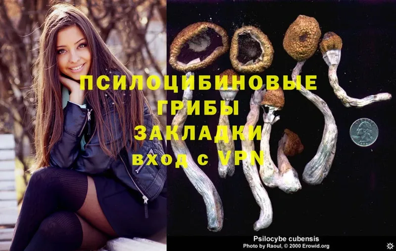 Галлюциногенные грибы MAGIC MUSHROOMS  как найти   мега зеркало  Алдан 